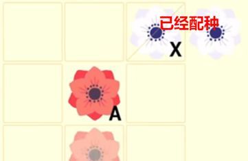 世界之光花卉复制与杂交攻略