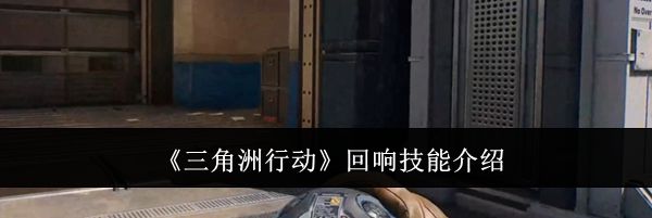 《三角洲行动》回响技能介绍