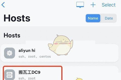 《termius》连接服务器教程