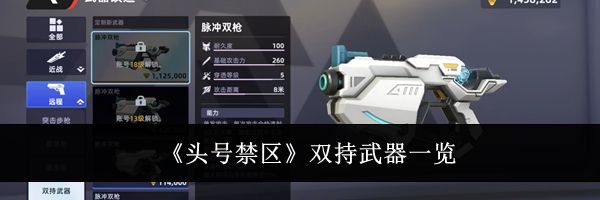 《头号禁区》双持武器一览