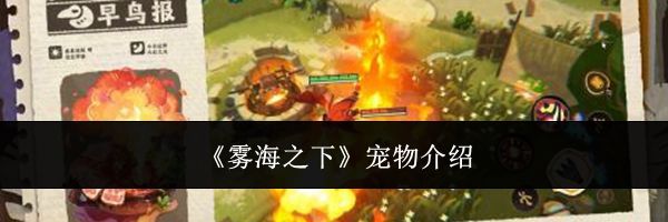 《雾海之下》宠物介绍