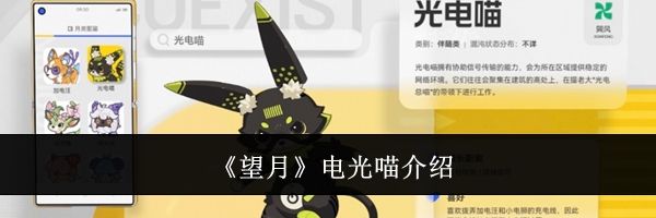《望月》电光喵介绍