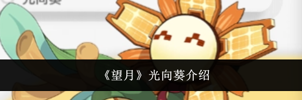 《望月》光向葵介绍