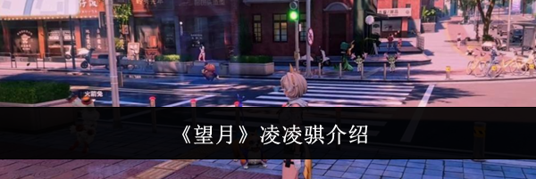 《望月》凌凌骐介绍