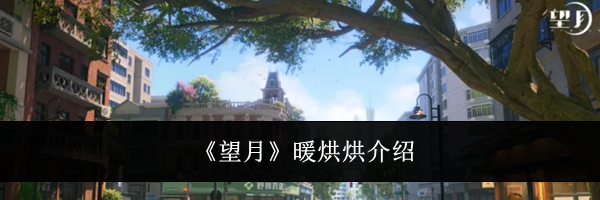 《望月》暖烘烘介绍