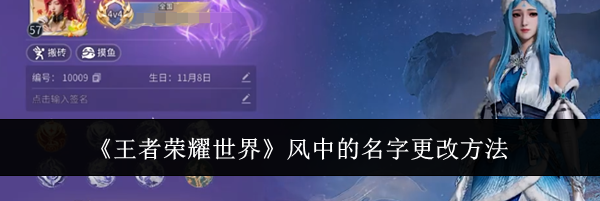 《王者荣耀世界》风中的名字更改方法