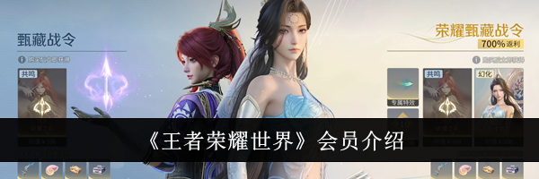 《王者荣耀世界》会员介绍