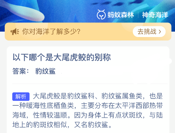 以下哪个是大尾虎鲛的别称