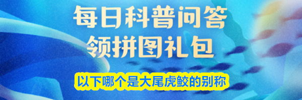 以下哪个是大尾虎鲛的别称
