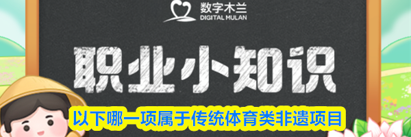 以下哪一项属于传统体育类非遗项目