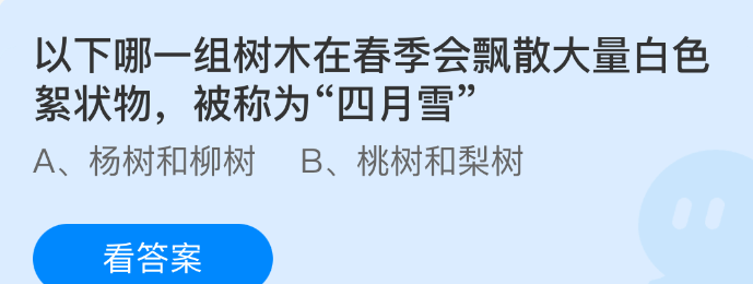 以下哪一组树木在春季会飘散大量白色絮状物被称为四月雪