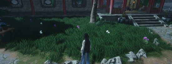 《燕云十六声》皇宫采集玉楼春及魏紫攻略