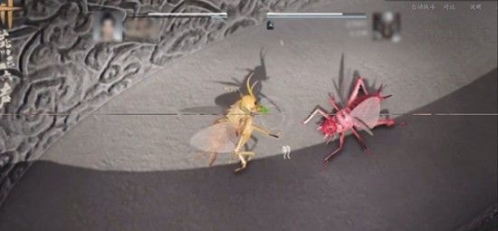 《燕云十六声》开封皇宫斗虫玩法介绍