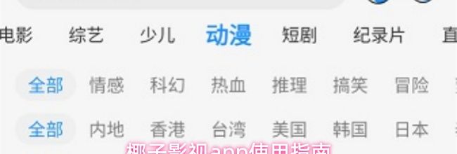 椰子影视app使用指南