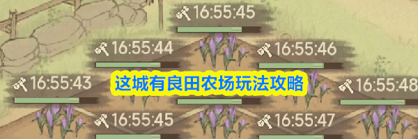 这城有良田农场玩法攻略