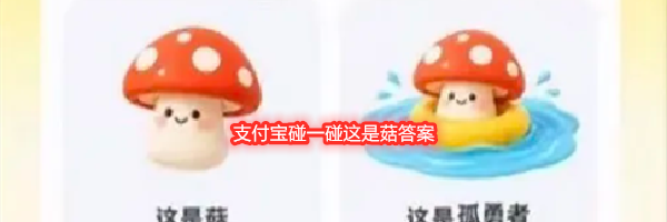 支付宝碰一碰这是菇答案