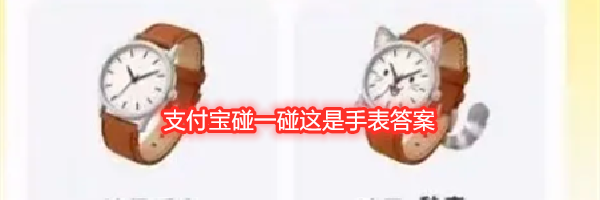 支付宝碰一碰这是手表答案